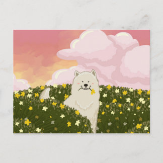 Cartão Postal Cachorro Samoyed Fofo em Campo de Flores Amarelas