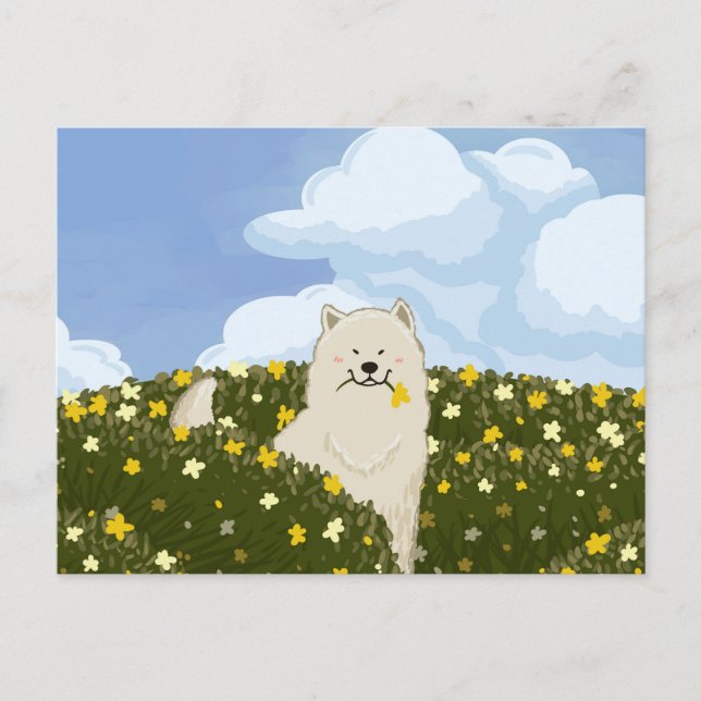Cartão Postal Cachorro Samoyed Fofo em Campo de Flores Amarelas  (Frente)
