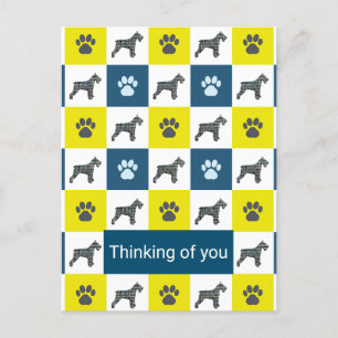 Cartão Postal Cachorro Schnauzer e Pata Amarelo e Azul Pensando