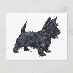 Cartão Postal Cachorro Scottie Esperto