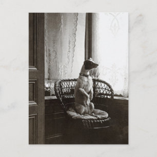 Cartão Postal Cachorro Sentado junto à Janela Reprodução de Arte