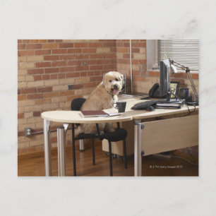 Cartão Postal Cachorro Sentado na Mesa