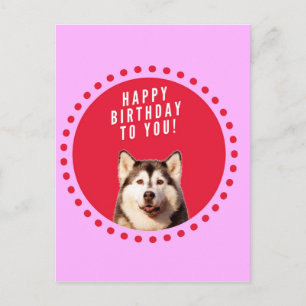 Cartão Postal Cachorro Siberiano Cachorro Feliz Aniversário