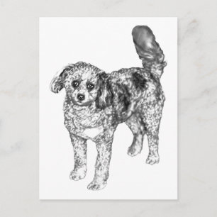 Cartão Postal Cachorro Sombreado Suave Compartilha Alegria Festi