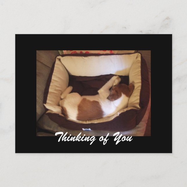 Cartão Postal Cachorro Sonolento - Pensando em você (Frente)