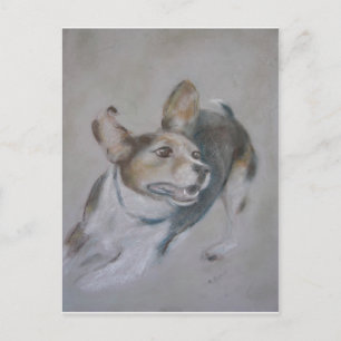 Cartão Postal Cachorro Sparky:  Em execução