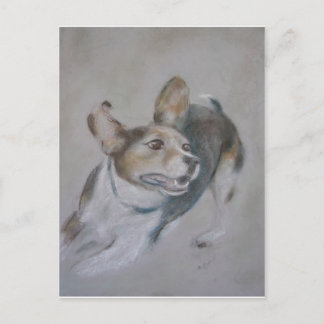 Cartão Postal Cachorro Sparky: Em execução