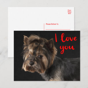 Cartão Postal Cachorro Yorkie Filhote de Yorkshire Terrier Amor