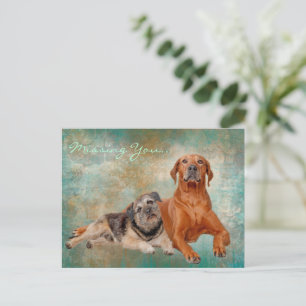 Cartão Postal Cachorros Adoráveis Na Arte Desaparecidos