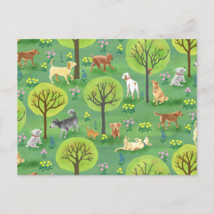 Cartão Postal Cachorros bonitos no Cartão-postal do Parque dos C