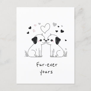 Cartão Postal Cachorros Bonitos, Quarto De Sempre
