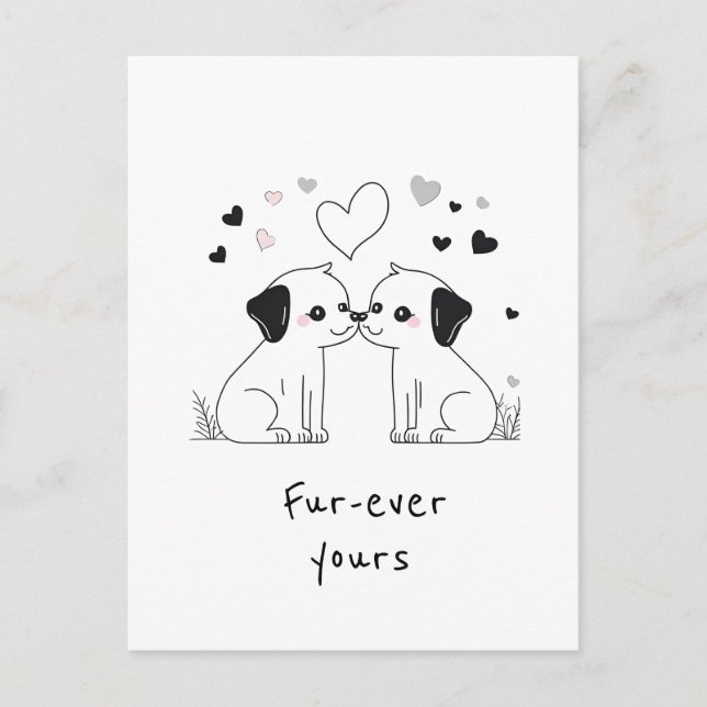 Cartão Postal Cachorros Bonitos, Quarto De Sempre (Frente)