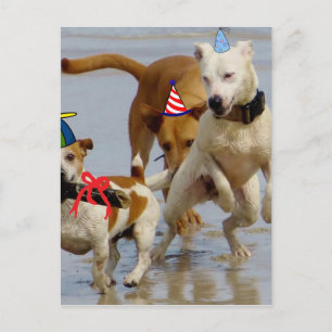 Cartão Postal cachorros de aniversário felizes