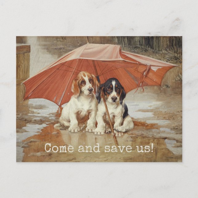 Cartão Postal Cachorros de basset sob o guarda-chuva CC0181 Troo (Frente)