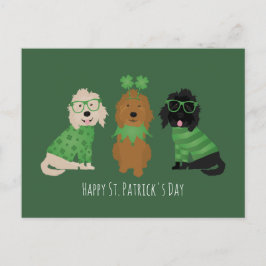 Cartão Postal Cachorros de Goldendoodle de Dia de São Patrício F