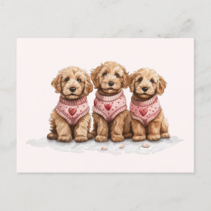 Cartão Postal Cachorros de Goldendoodle namorados