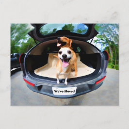 Cartão Postal Cachorros Engraçados E Bonitos Indo Para Movimenta