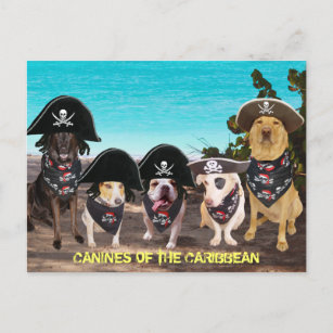 Cartão Postal Cachorros Engraçados Falam como Cartões-postais do