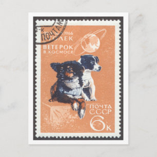 Cartão Postal Cachorros Espaciais Cartão-Postal Veterok e Ugoly