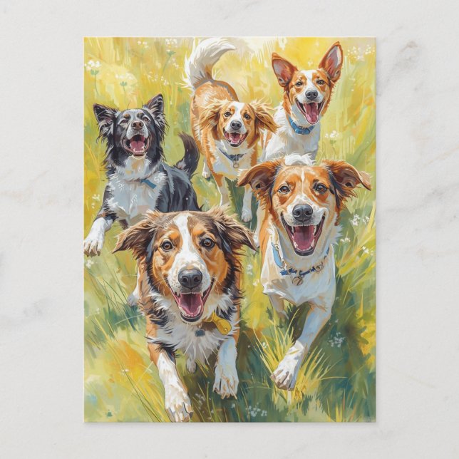 Cartão Postal Cachorros Felizes  (Frente)