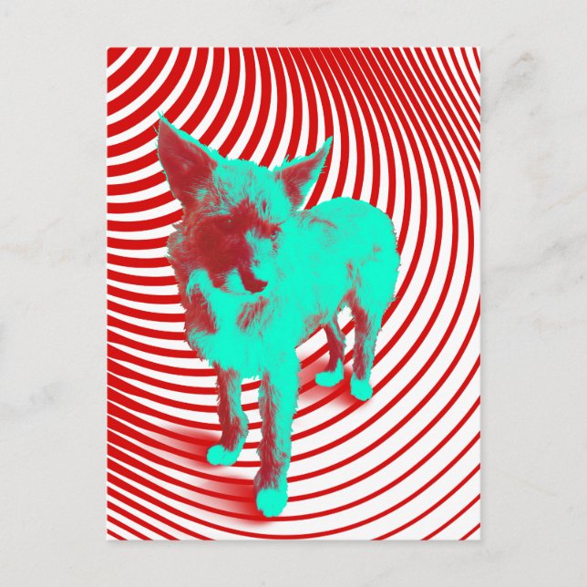 Cartão Postal cachorros perigosos (Frente)