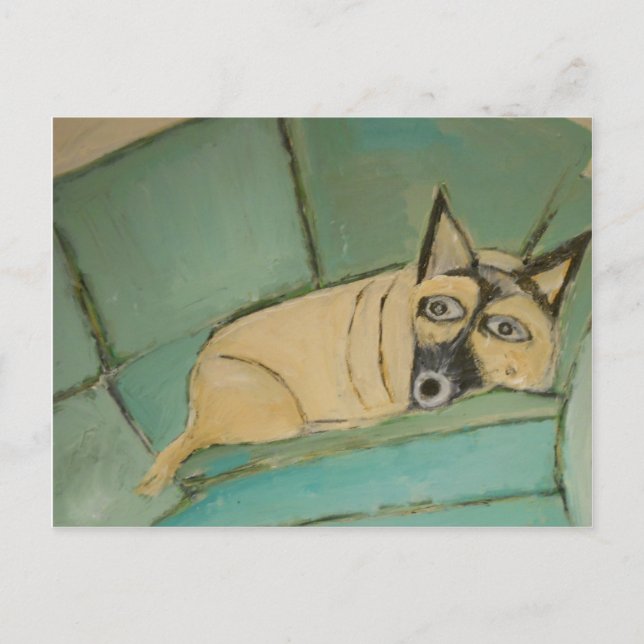 Cartão Postal cachorros por eric ginsburg (Frente)