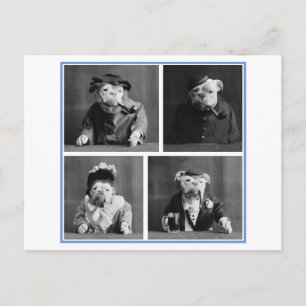 Cartão Postal Cachorros Vestidos como Humanos Vintage Odity