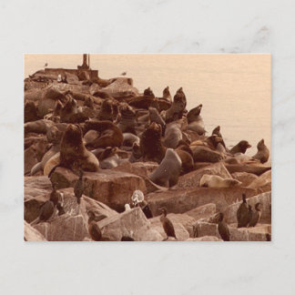 Cartão Postal cacofonia do mar