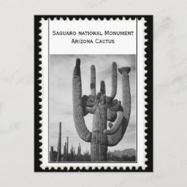 Cartão Postal cacto arizona