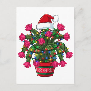 Cartão Postal Cacto de Natal Schlumbergera Bridgesii Feriado
