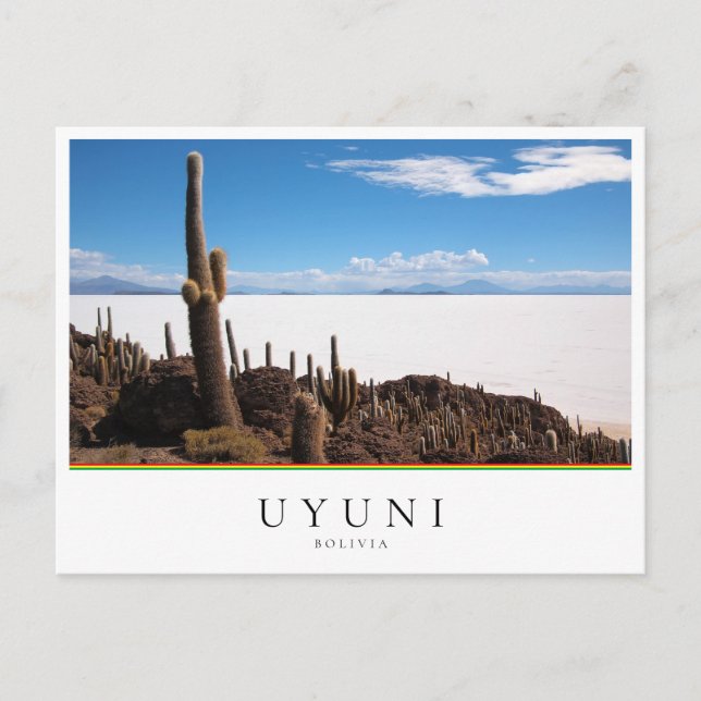 Cartão Postal Cacto gigante do Salar de Uyuni na Bolívia (Frente)