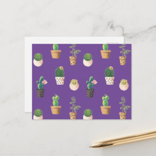 Cartão Postal Cacto Suculento do Deserto Verde em Potes