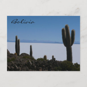Cartão Postal cactos de uyuni bolívia