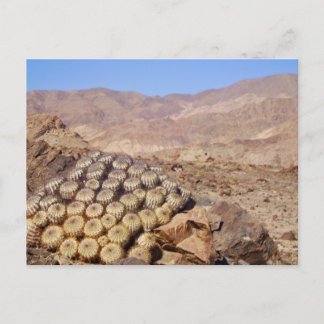 Cartão Postal Cactos no deserto de Atacama, Chile