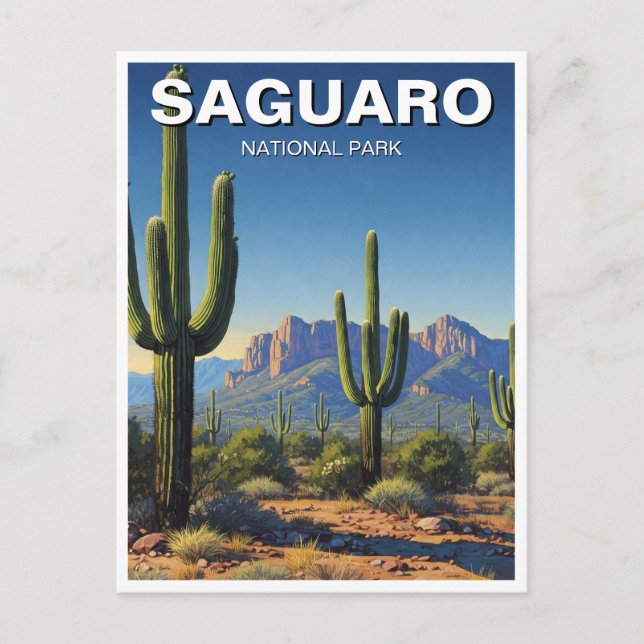 Cartão Postal Cactos no Parque Nacional de Saguaro Souvenir (Frente)