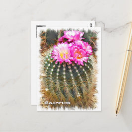 Cartão Postal Cactus ポストカード