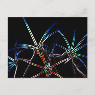 Cartão Postal Cactus 1 pcn