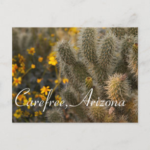 Cartão Postal Cactus e flores selvagens em Arizona livre