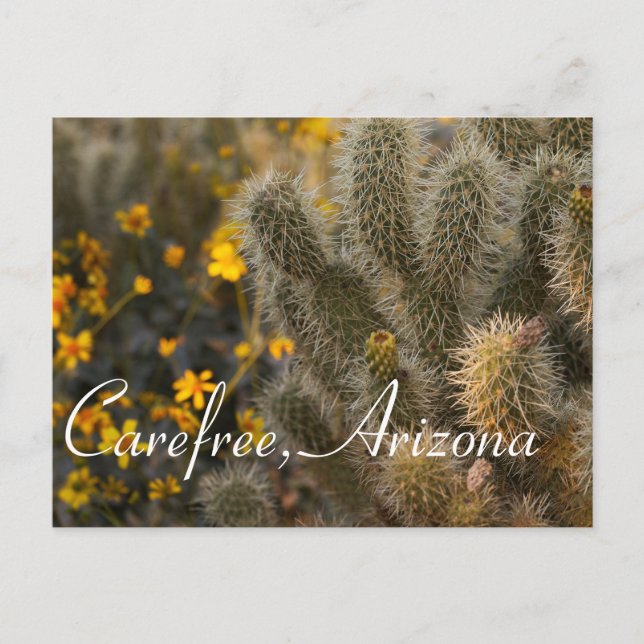 Cartão Postal Cactus e flores selvagens em Arizona livre (Frente)