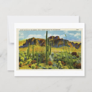Cartão Postal Cactus gigante no deserto Vintage - Paisagem posta