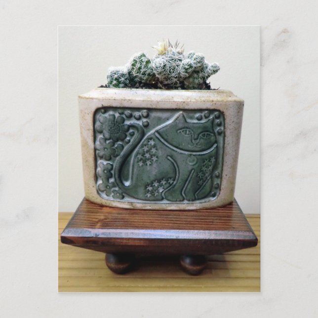 Cartão Postal Cactus in Kitty Container by Succulent Designs (Frente)