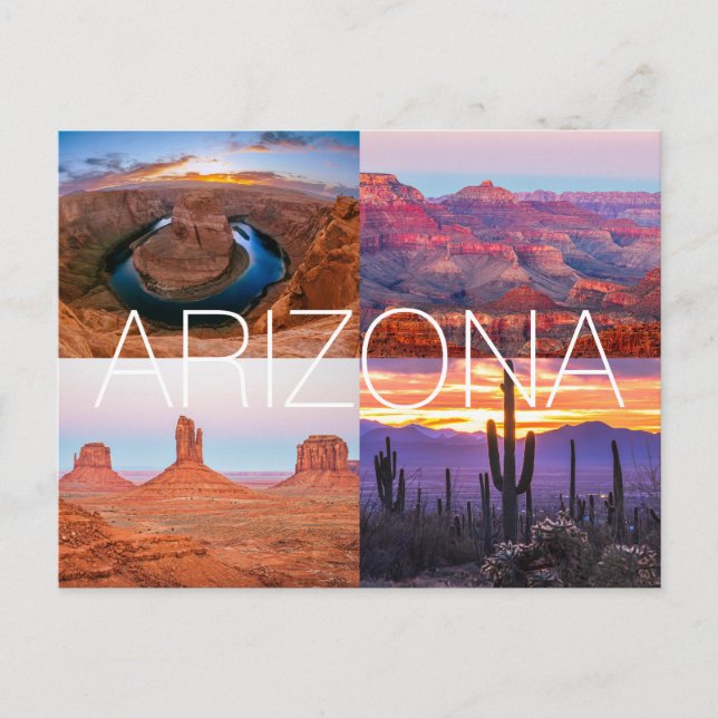 Cartão Postal Cactus Red Rock Sunset Nature Landscaps Arizona (Frente)