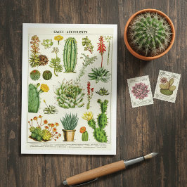 Cartão Postal Cactus Succulents Botanical Illustration Postcard