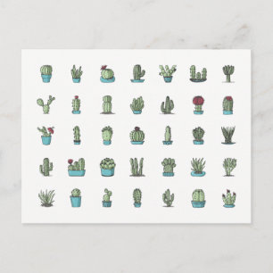 Cartão Postal Cactus Suculenta Plantas Botânicas Desenhadas À