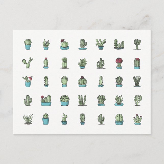 Cartão Postal Cactus Suculenta Plantas Botânicas Desenhadas À Mã (Frente)