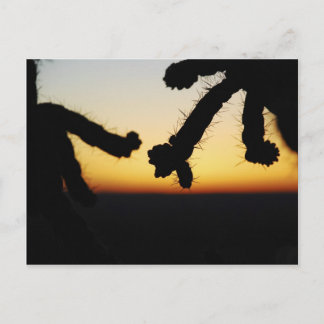 Cartão Postal Cactus Sunset - Laranja