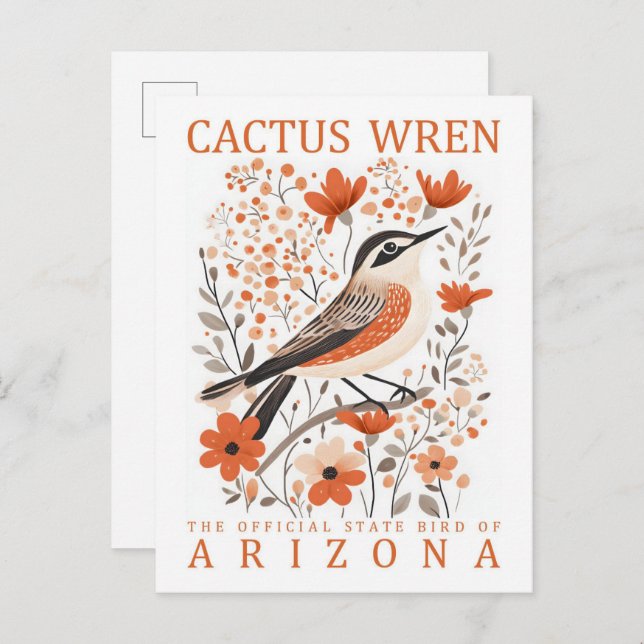 Cartão Postal Cactus Wren Bird da Arizona dos EUA (Frente/Verso)