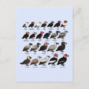 Cartão Postal Cada abutre