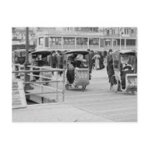 Cadeiras De Rodas No Passeio De Bordo