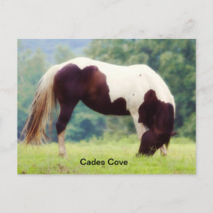 Cartão postal Cades Cove